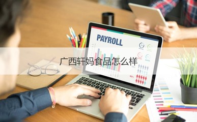 廣西軒媽食品公司概覽 工作時(shí)間、發(fā)展與計(jì)算機(jī)軟硬件業(yè)務(wù)